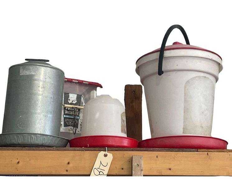 4 Chicken Feeding and Drinking Implements image