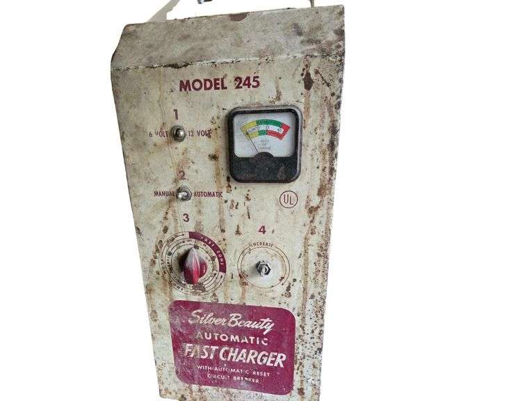 Silver Beauty Automatic Fast Charger image