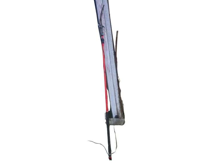 Tree Trimmer image