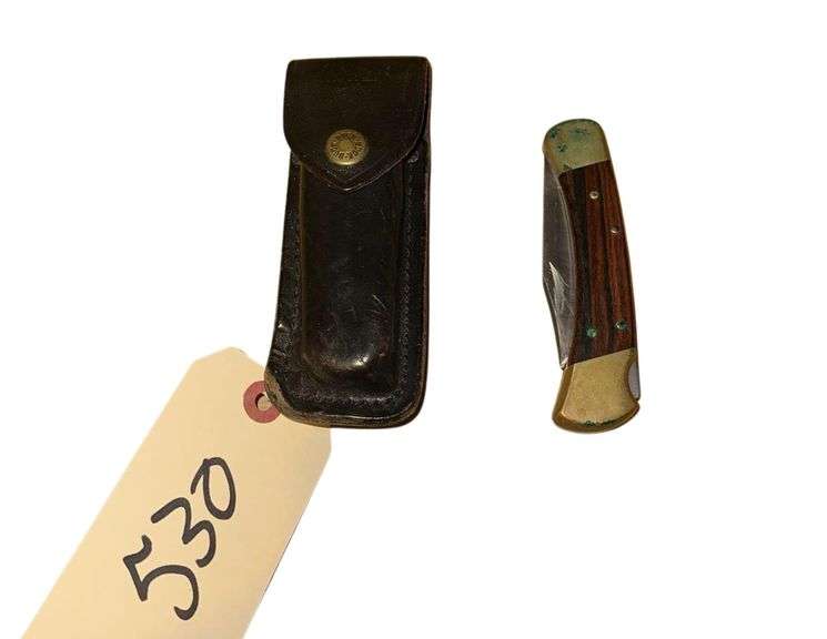 Buck 110C With Sheath image