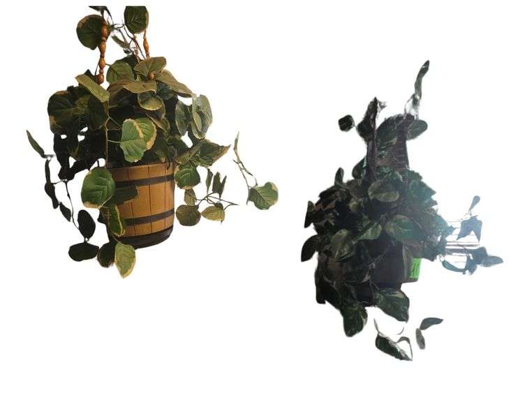 Fake Hanging Plants image