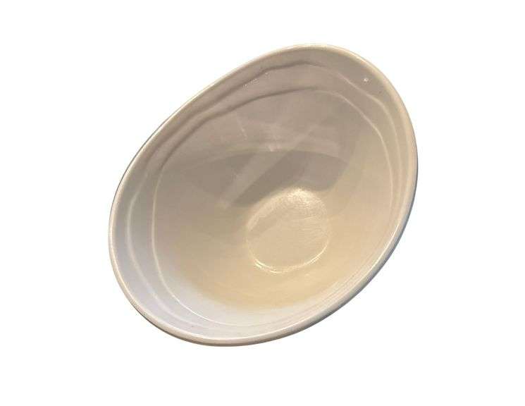 Tote & 100+ Plastic Bowls image