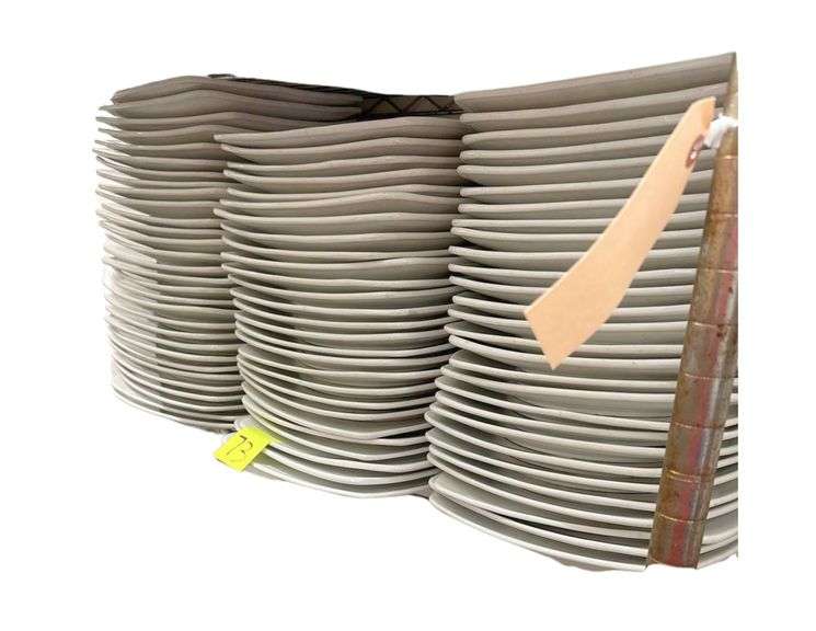 ACOPA 11” Ceramic Plates image