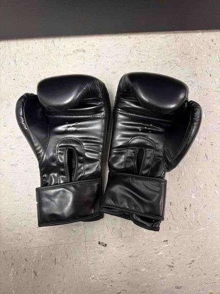 10oz BFit Boxing Gloves - New image