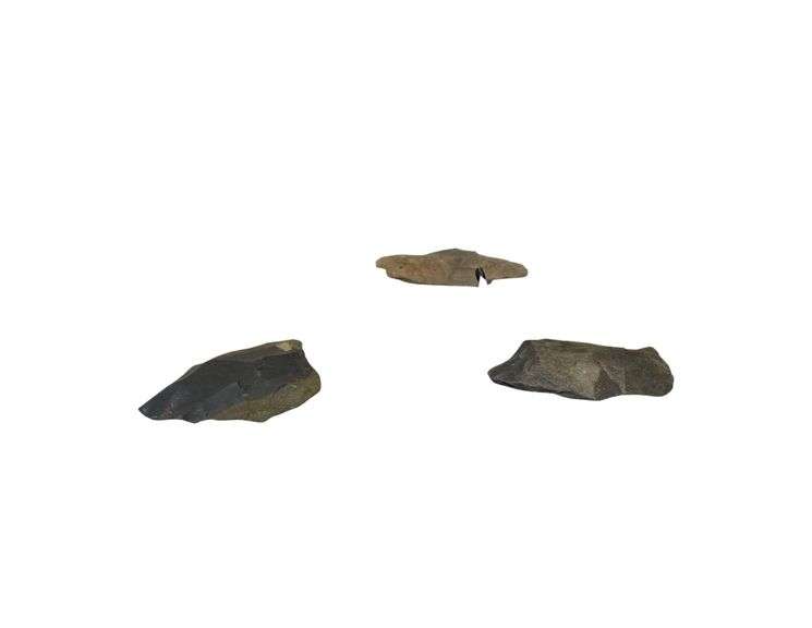 3 Indian Arrow Heads image