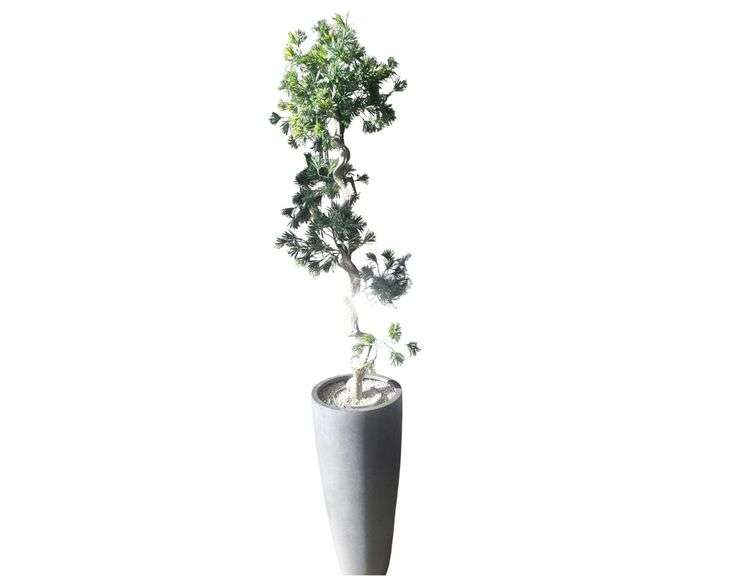 Fake Plant 80" & Hanging Plant Design 8x4' image