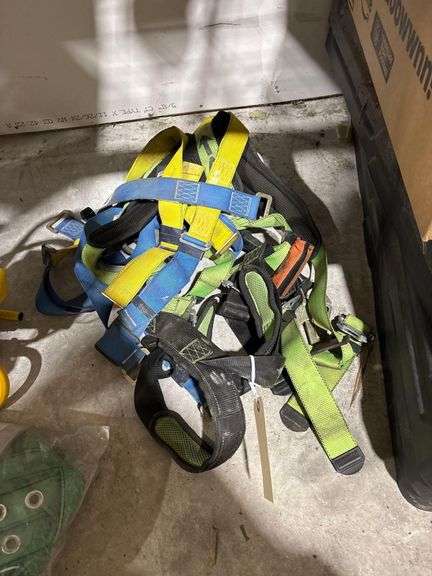 Various Harnesses image