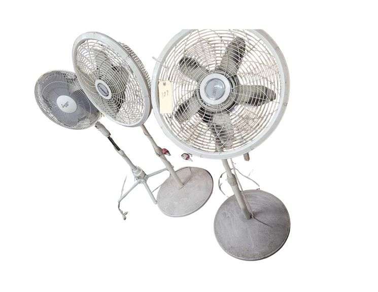 3 Fans image