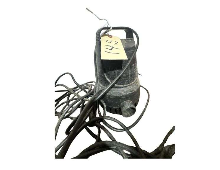 Alpine Hurricane Pump - 120v image