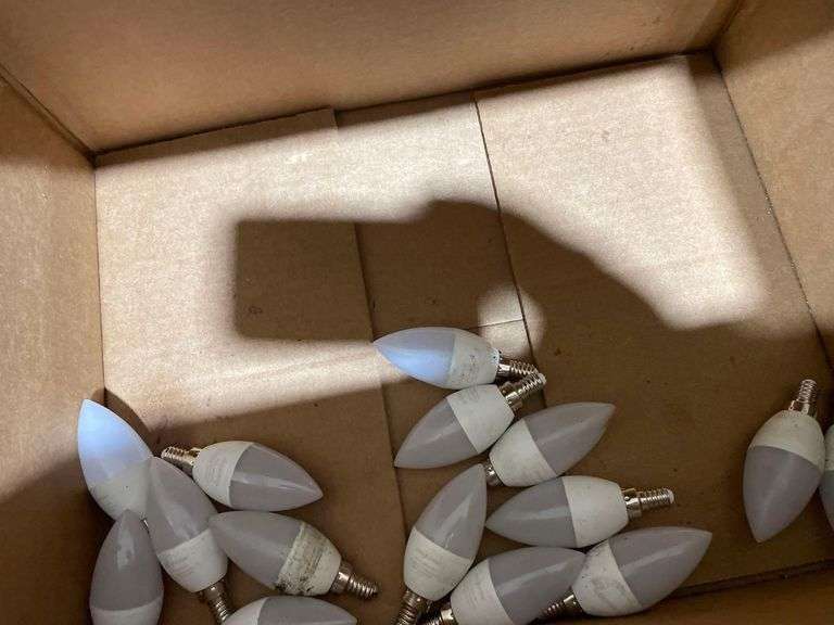 16 Led Light Bulbs image