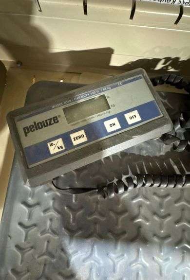 Pelouze Scale Model 4010 image