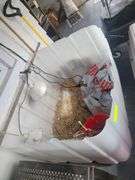 4ft Square Plastic Chicken Cage With Heat Lights and Lid