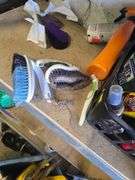 Contents - Dust Pans - Wax - Poison Ivy Killer - Goof Off - Spray on