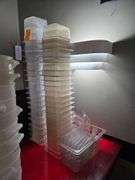 Plastic Food Containers with Some Lids. Several 6 in. x 6 in. x 6 in. Approx 2.2 Liters. Several 6 in. x 7 in. x 4 in. D