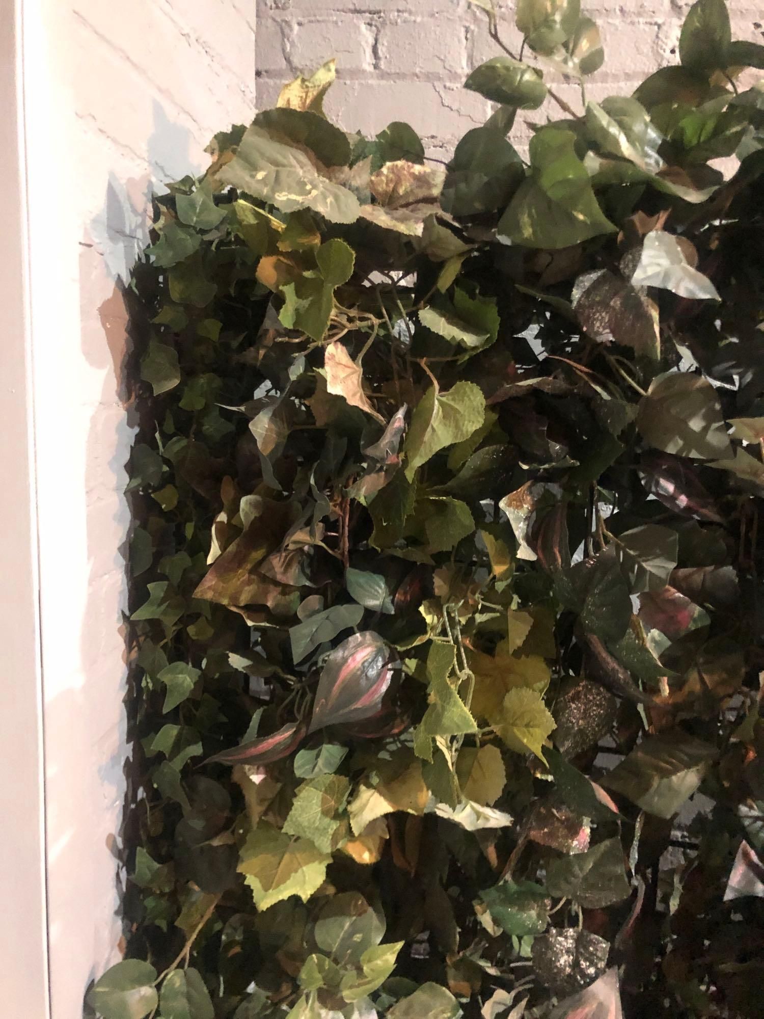 Lot image 3