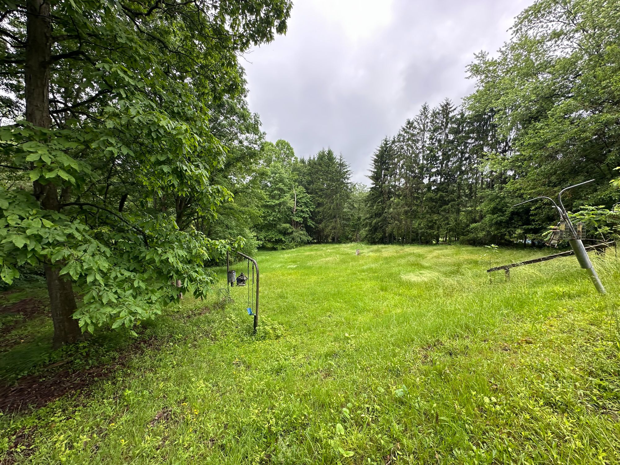 Lot image 43