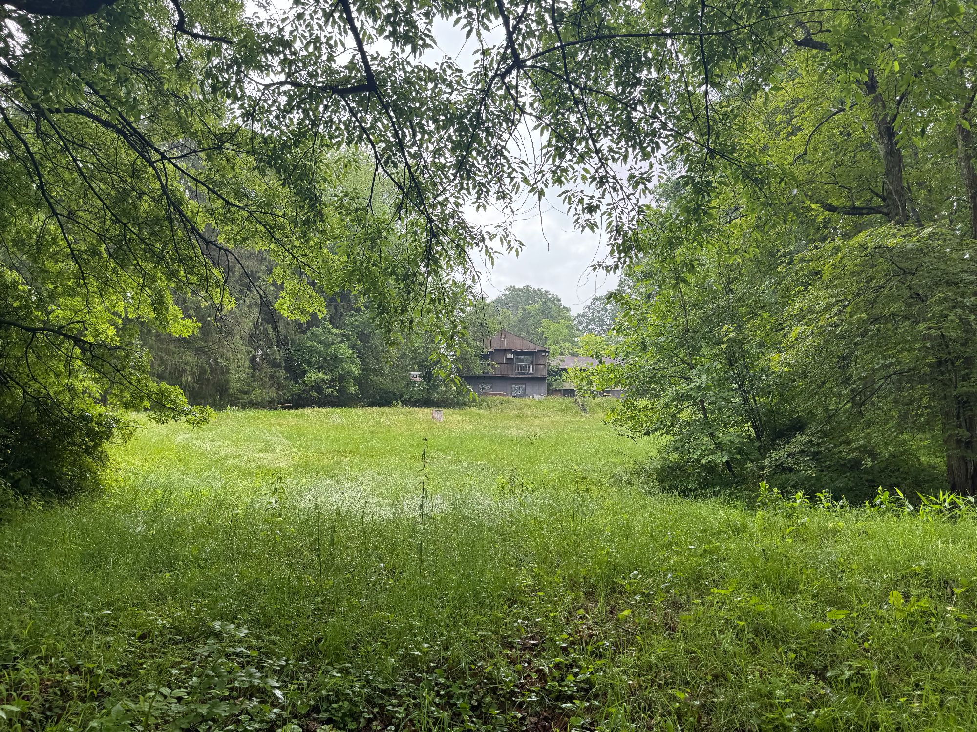 Lot image 51