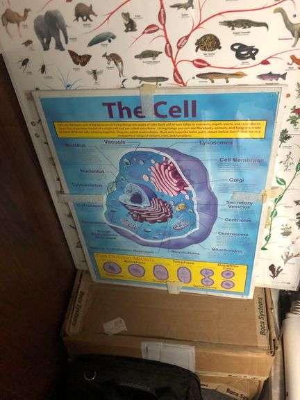 Science Posters, Backpack, Duffel Bag
