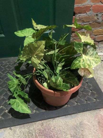 2 Faux Plants in Pots