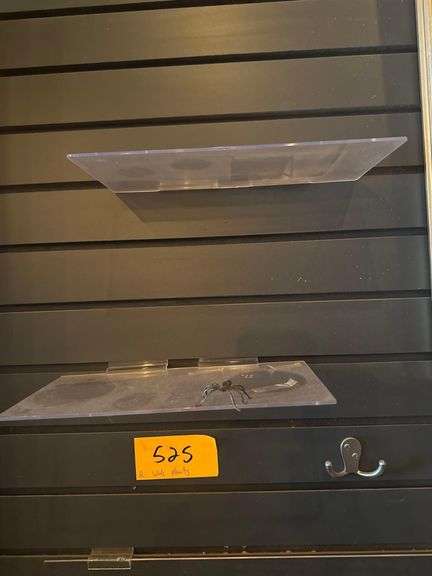 3 Clear Display Shelves - 1ft. 1ft. 2ft.