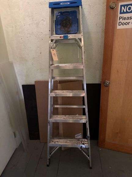 Werner 6ft Ladder
