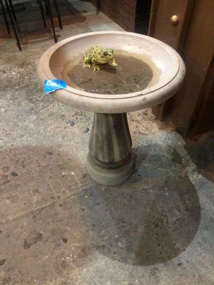 Plastic Birdbath with Frog