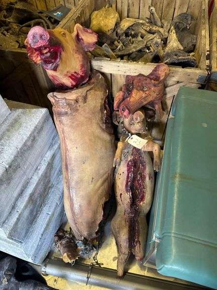 2 Slaughtered Pigs with 2 Detached Heads