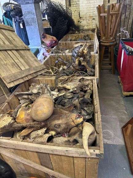 5 Large Wooden Storage Boxes with Bones and Props Inside