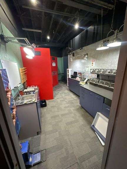 Contents and Partitions of Rat Laboratory Themed Escape Room - *See Pics!*