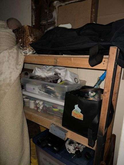 Contents Of Room Includes Coustumes - Props - Halloween Items