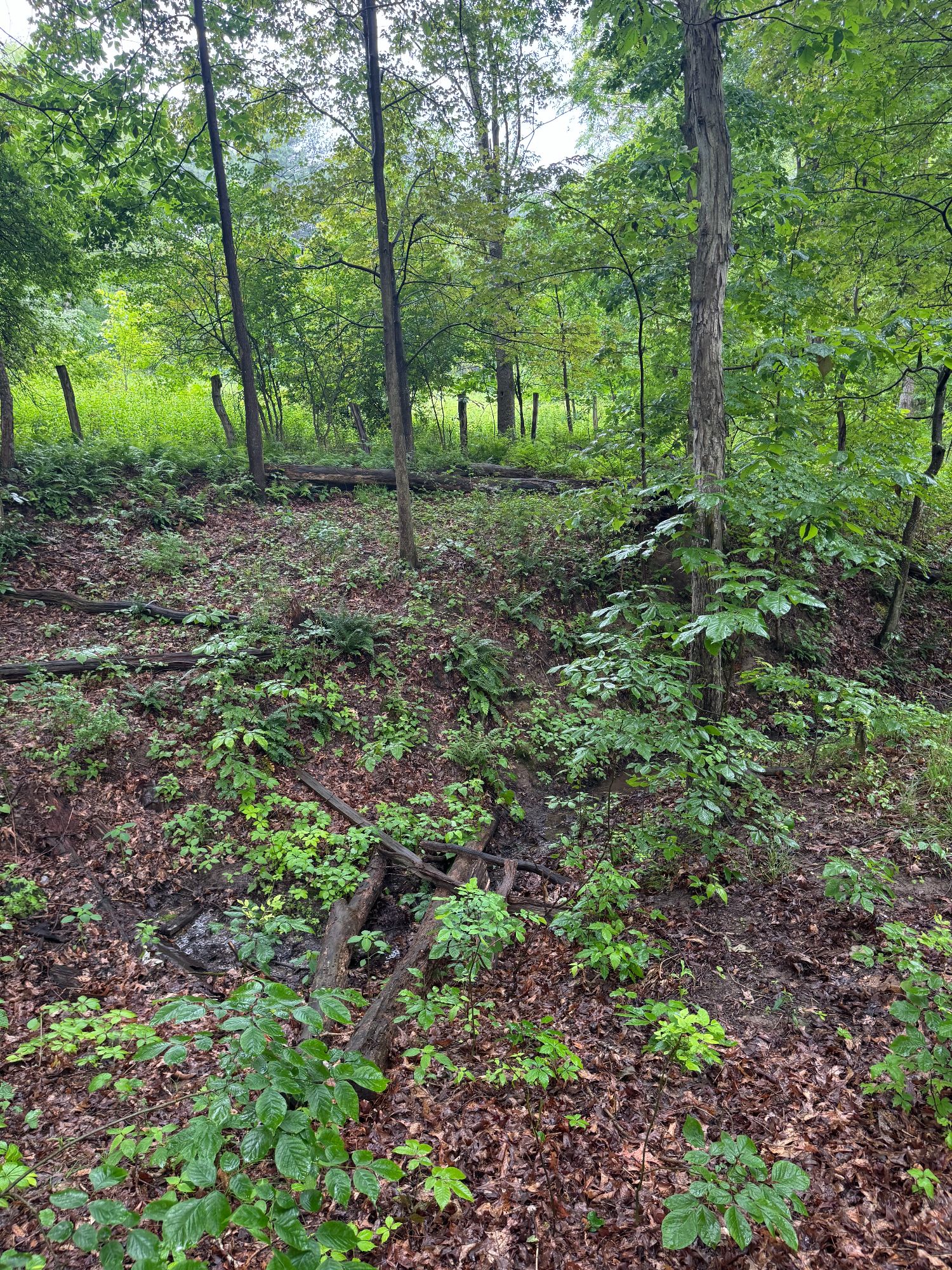 Lot image 47