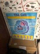 Science Posters, Backpack, Duffel Bag