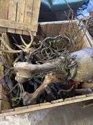 5 Large Wooden Storage Boxes with Bones and Props Inside