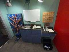 Contents and Partitions of Rat Laboratory Themed Escape Room - *See Pics!*