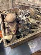 5 Large Wooden Storage Boxes with Bones and Props Inside