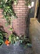 All Wall and Ceiling Decor Including Faux Plants, Vines, and Flowers, and Hanging Lanterns