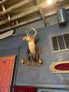 4 - Taxiderimed Deer / Boar Mounted Heads