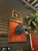 4 - Taxiderimed Deer / Boar Mounted Heads