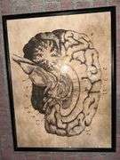 Contents and Partitions of Serial Killer Themed Escape Room - (3 Separate Rooms)