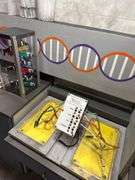 Contents and Partitions of Rat Laboratory Themed Escape Room - *See Pics!*