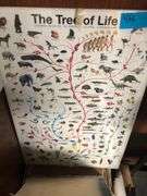 Science Posters, Backpack, Duffel Bag