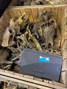 5 Large Wooden Storage Boxes with Bones and Props Inside