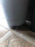 Trash Bin with Wheels, Trash Can