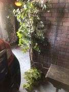 All Wall and Ceiling Decor Including Faux Plants, Vines, and Flowers, and Hanging Lanterns