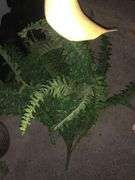 4 Faux Flower Pots, Faux Vine, Faux Plant Pot, and Faux Branch