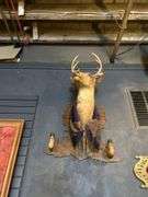 4 - Taxiderimed Deer / Boar Mounted Heads