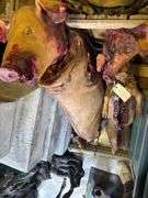 2 Slaughtered Pigs with 2 Detached Heads