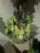 4 Faux Flower Pots, Faux Vine, Faux Plant Pot, and Faux Branch