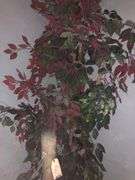4 Faux Flower Pots, Faux Vine, Faux Plant Pot, and Faux Branch
