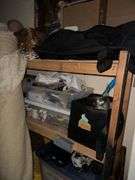 Contents Of Room Includes Coustumes - Props - Halloween Items